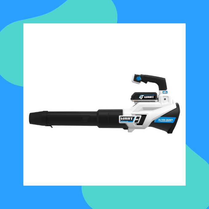 Leaf blower