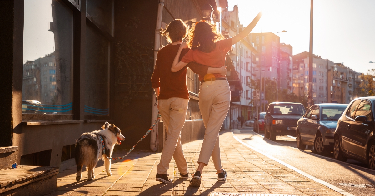 walking around city with their dog