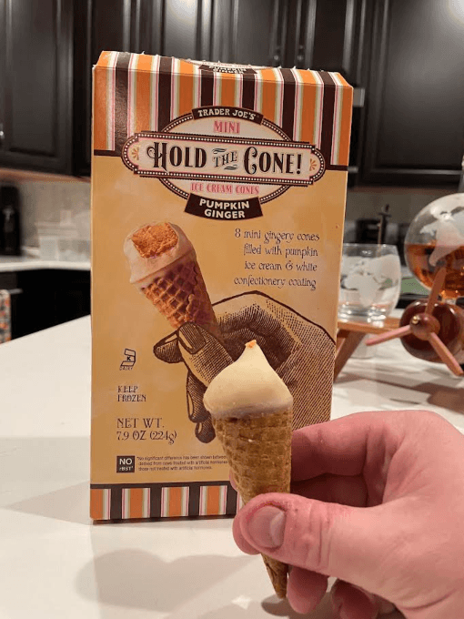 Hold The Cone Pumpkin Ginger Ice Cream Cone
