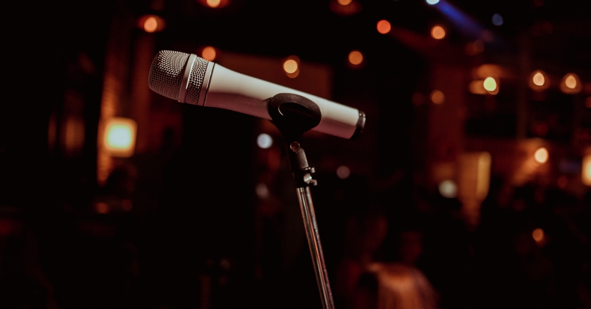 Professional stage microphone