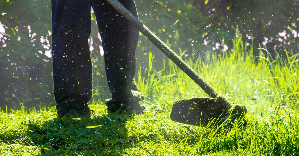 lawn care maintenance