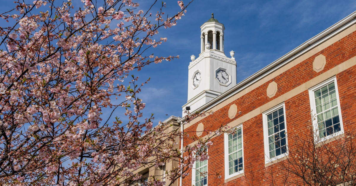 delaware city hall