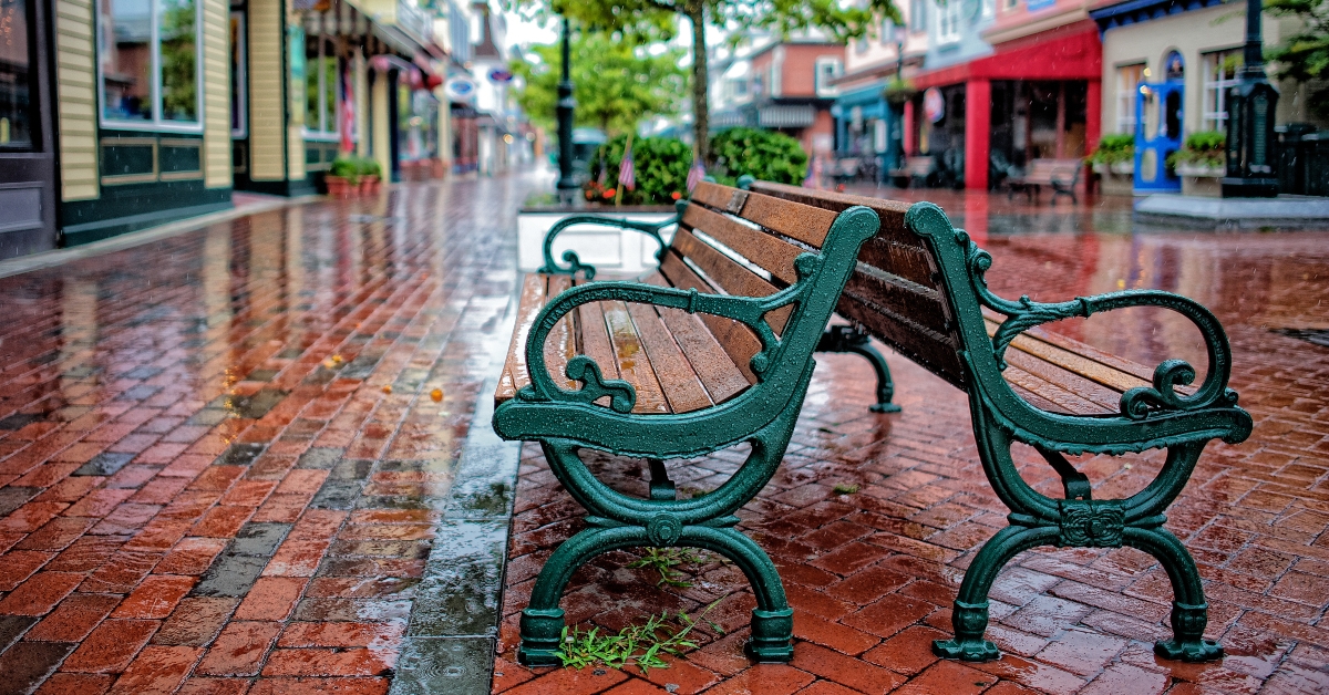 benches in the rain