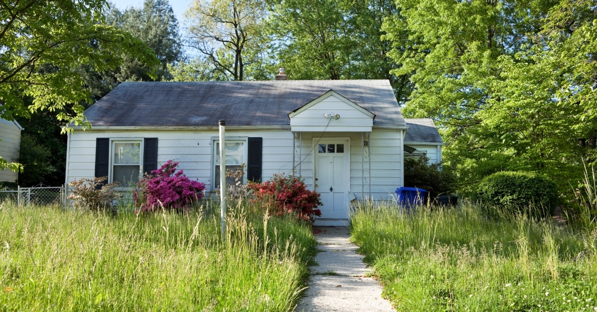 overgrown lawn with abandoned house