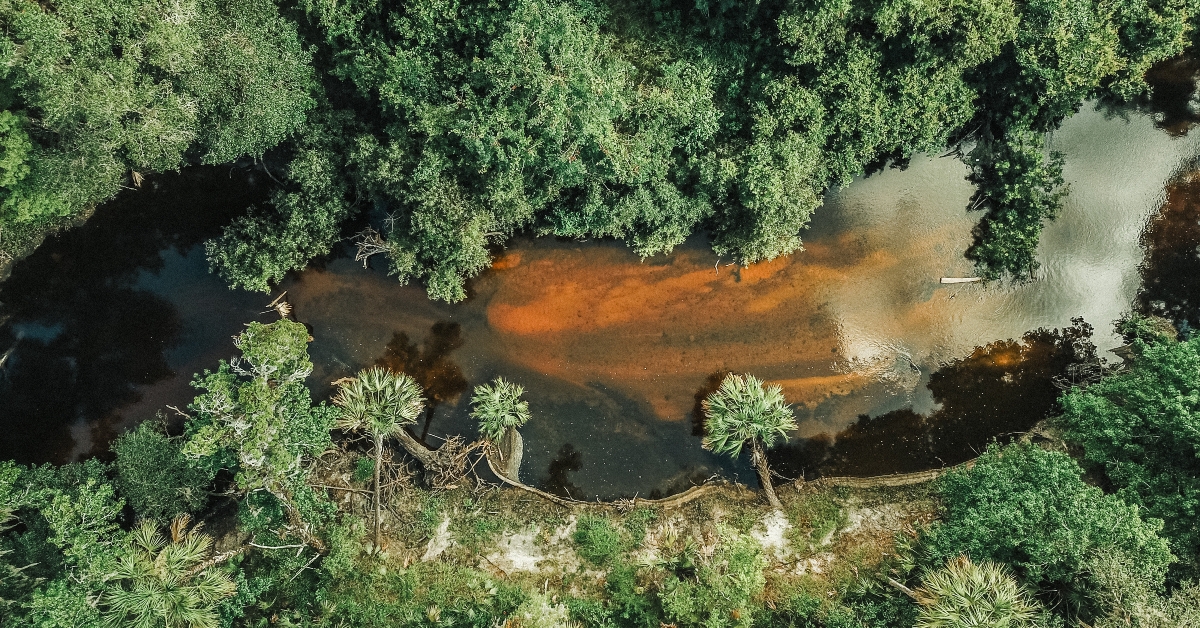 Aerial shot of Alafia River