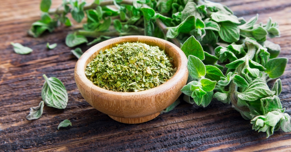 Fresh dried oregano on wooden background 
