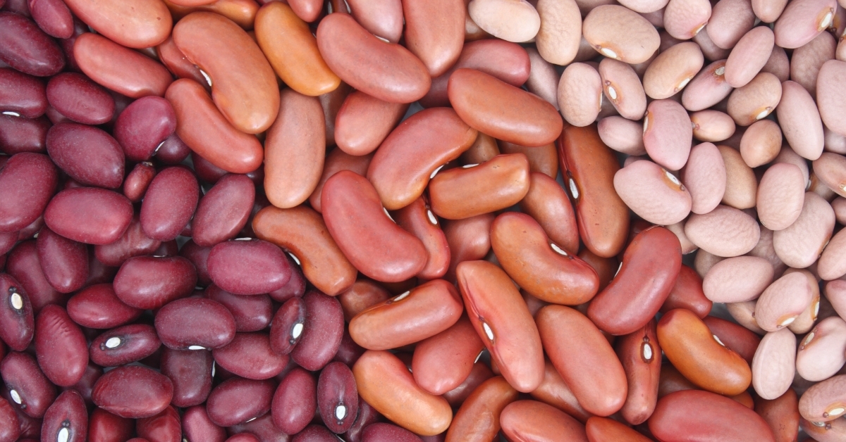 Three kind of beans