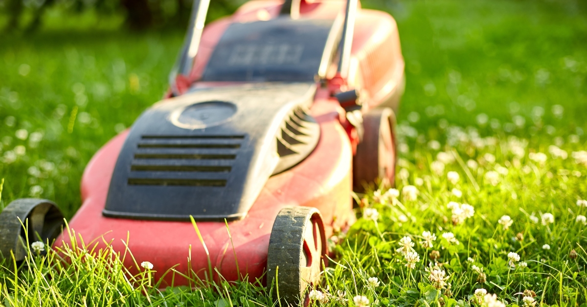 lawnmower mows the lawn 