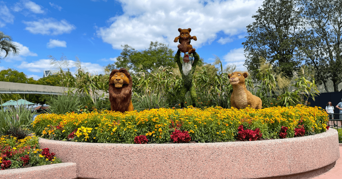 The Flower and Garden Festival flowers at EPCOT in Walt Disney World in Orlando, Florida.