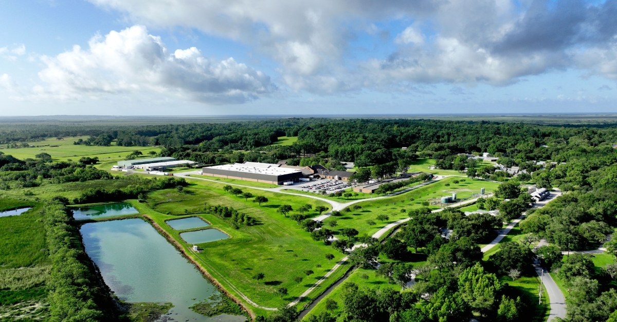 Avery Island LA during day