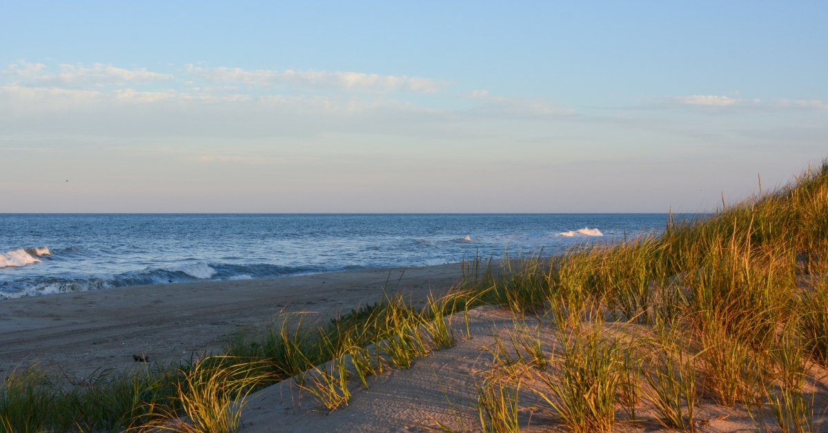 Pea Island National Wildlife Refuge 