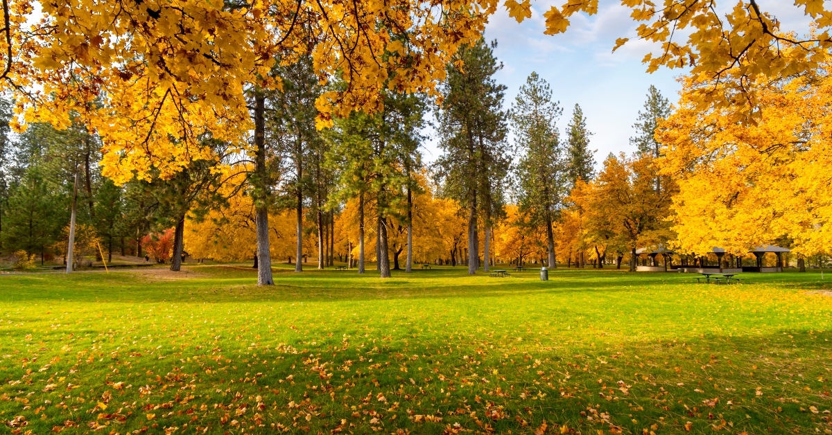 park in spokane
