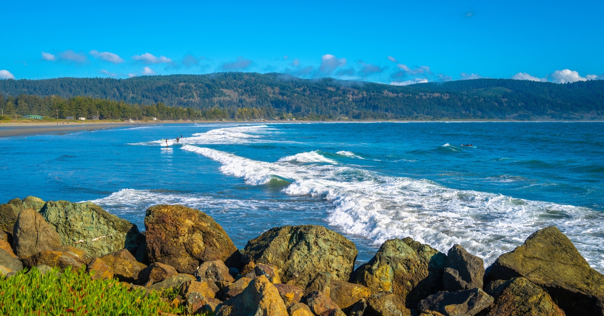seascapes with waves