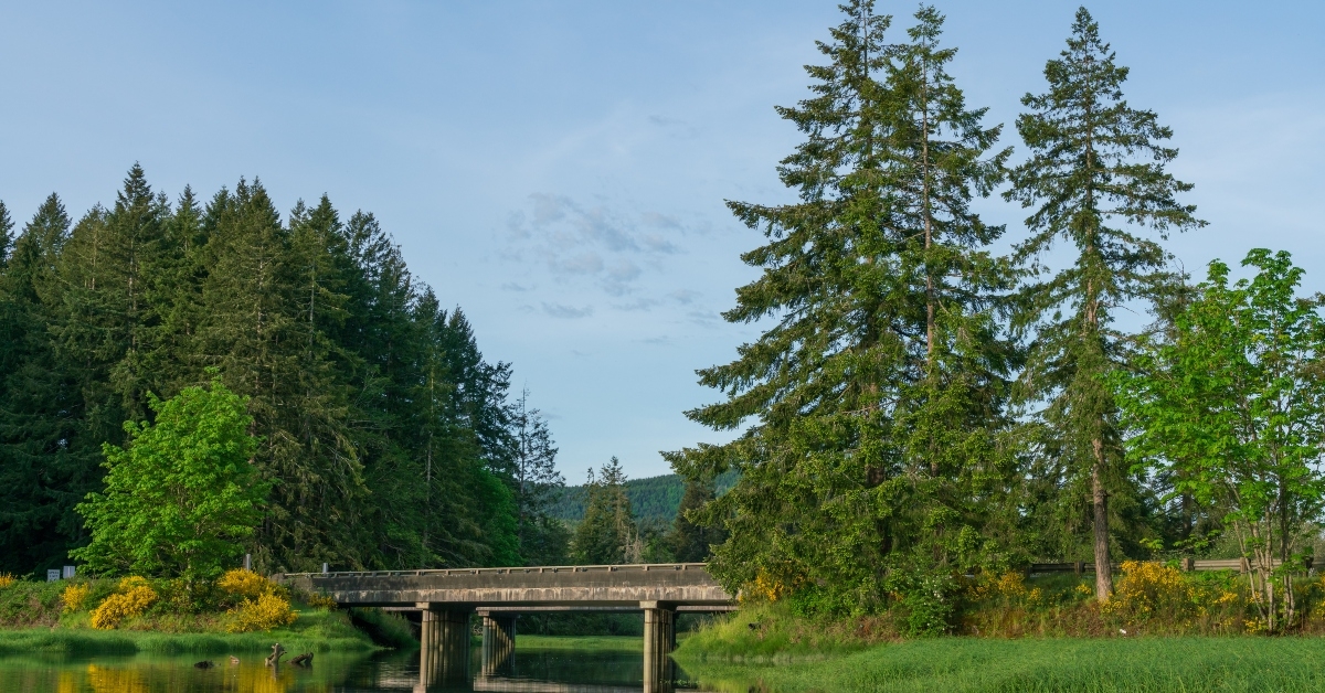 kennedy creek shelton washington 