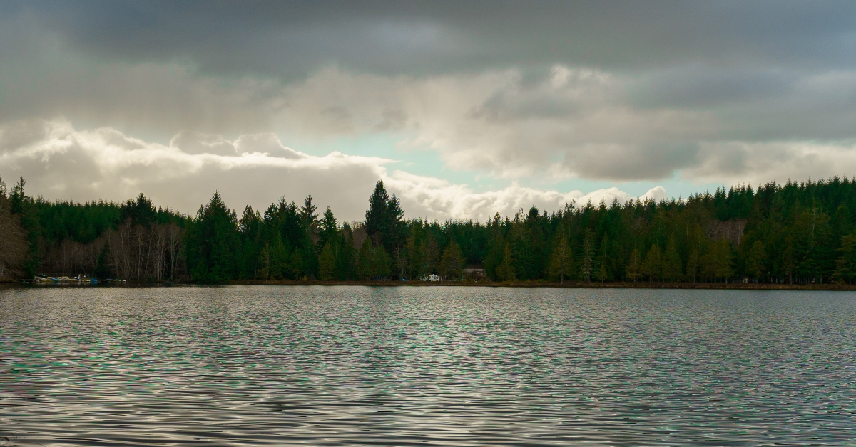 lake arrowhead in elma washington
