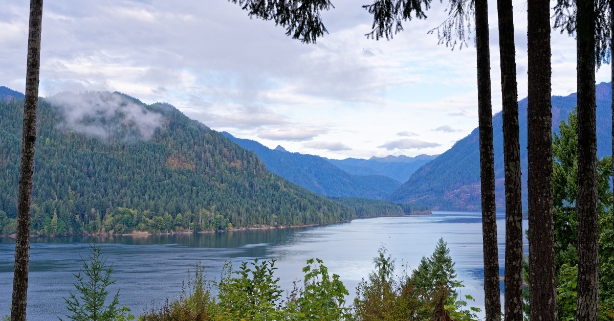 lake cushman washington 