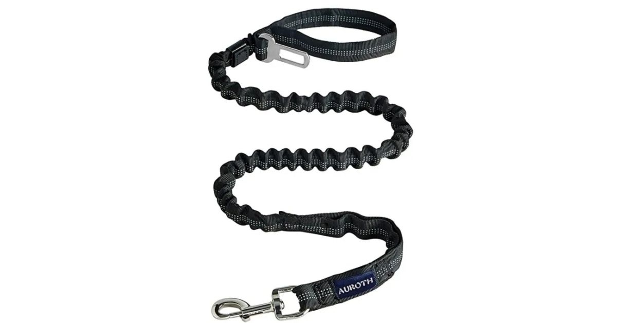 Bungee Dog Leash for Shock Absorption