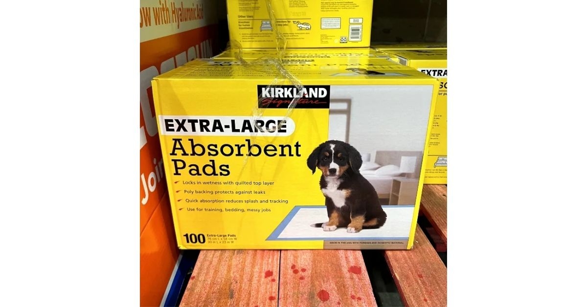 Kirkland Signature Extra-Large Absorbent Dog Pads