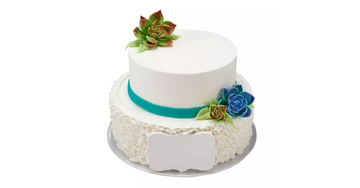 succulents with ruffles two tier cake