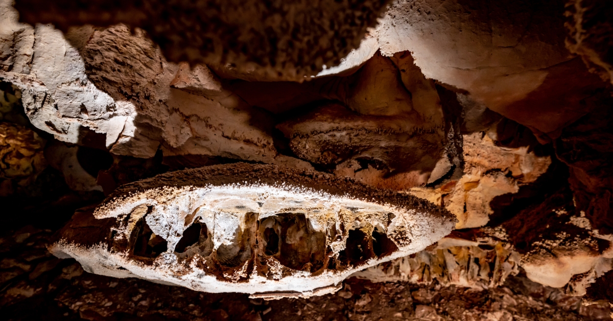 Boxwork formation inside Wind Cave National Park in the Black Hills of South Dakota