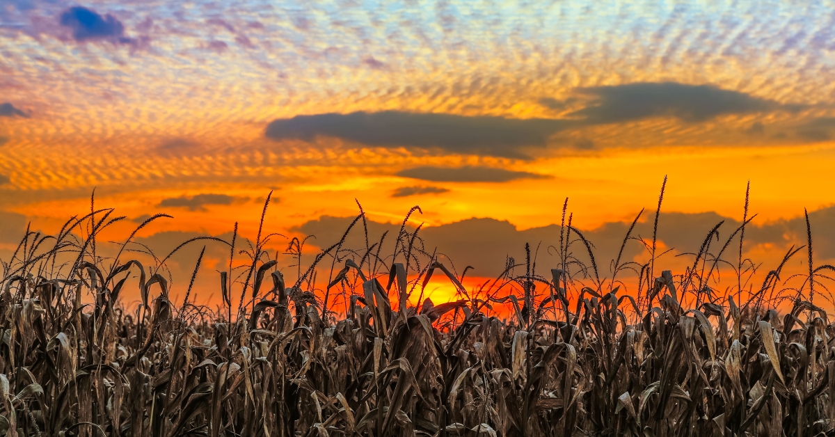 indiana sundown