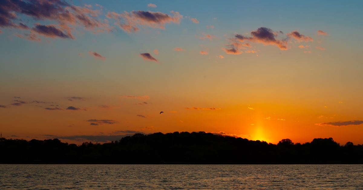 sunset over old hickory lake