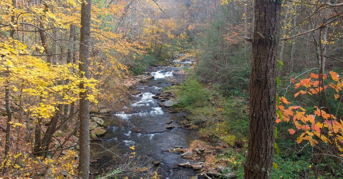 tellico plains classic fall appalachian 