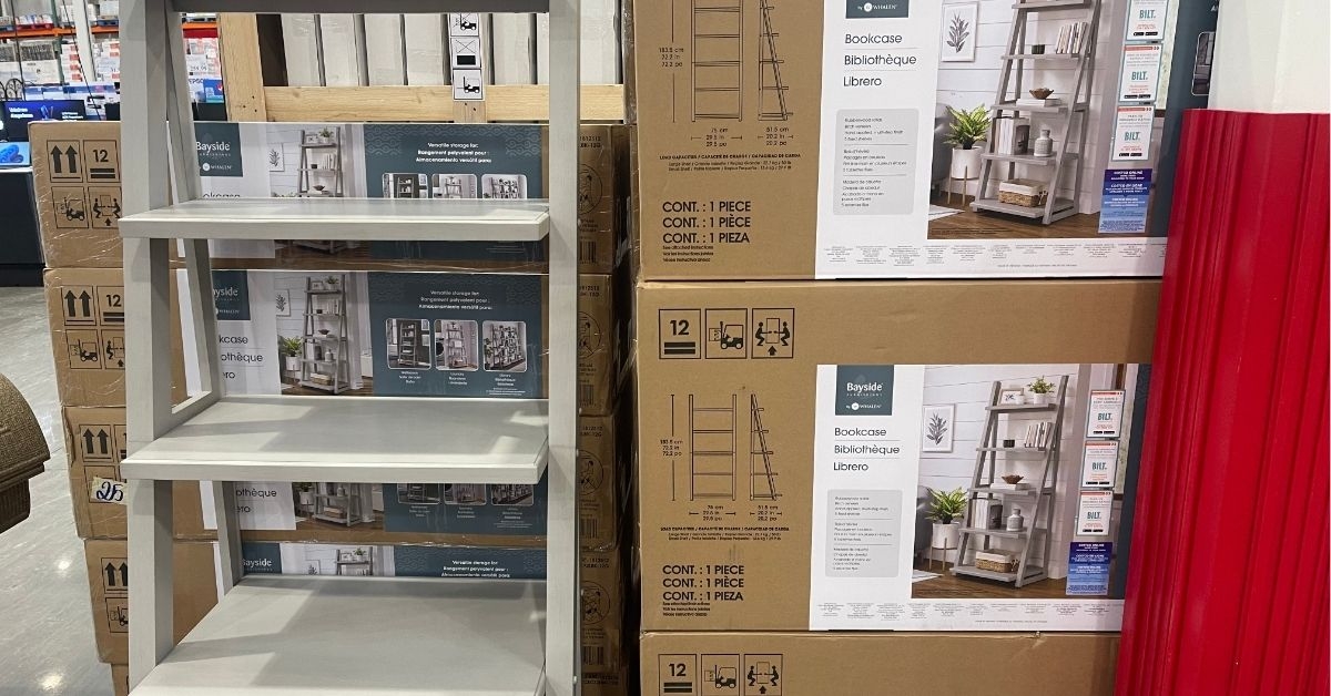 kellen ladder bookcase