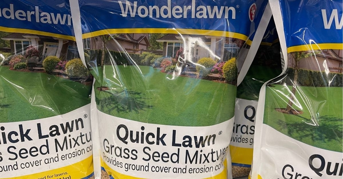wonderlawn quick lawn grass seed mixture