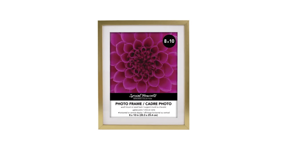 Wall-Mount Matted Gold Plastic Photo Frame