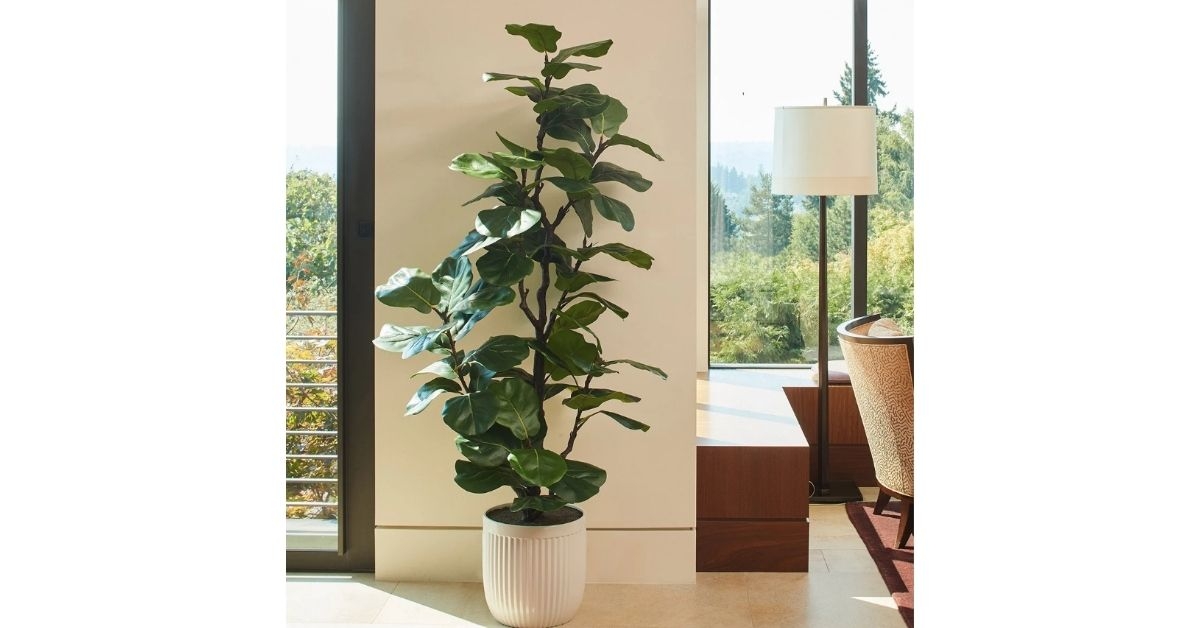 faux 6.5 fig tree