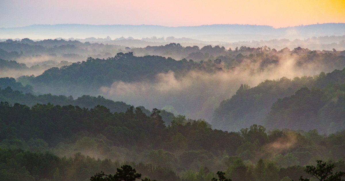 sunrise near cheaha mountain in alabama usa
