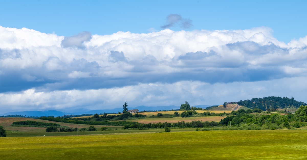 A view of farm land in Wilamette valley