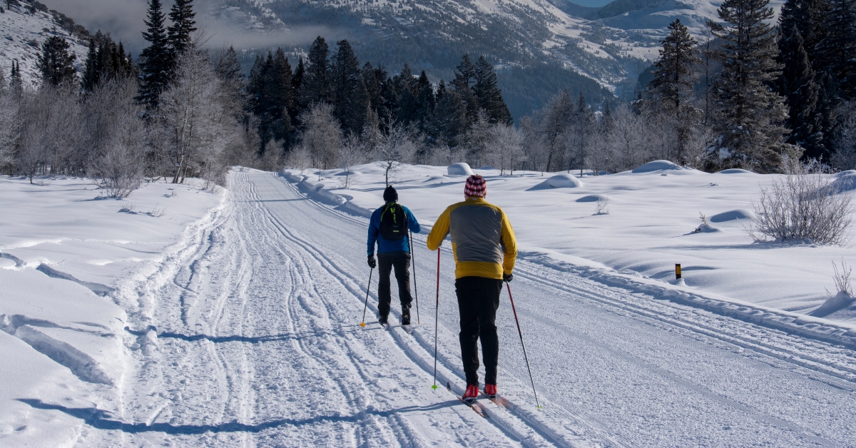 Two men classic Nordic skiing