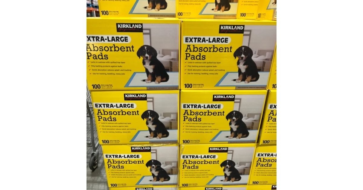 Kirkland Brand Extra-Large Absorbent Pads