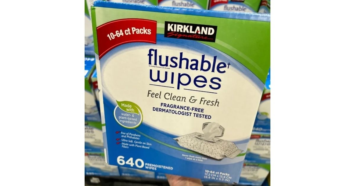 Kirkland Brand Flushable Wipes