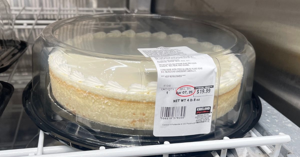 plain cheesecake in a small container