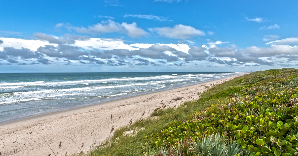 a view at canaveral national seashore