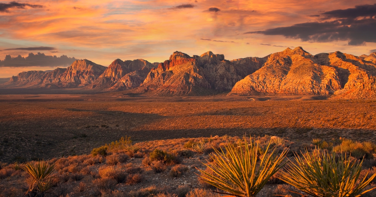 Red Rock Canyon National Conservation Area