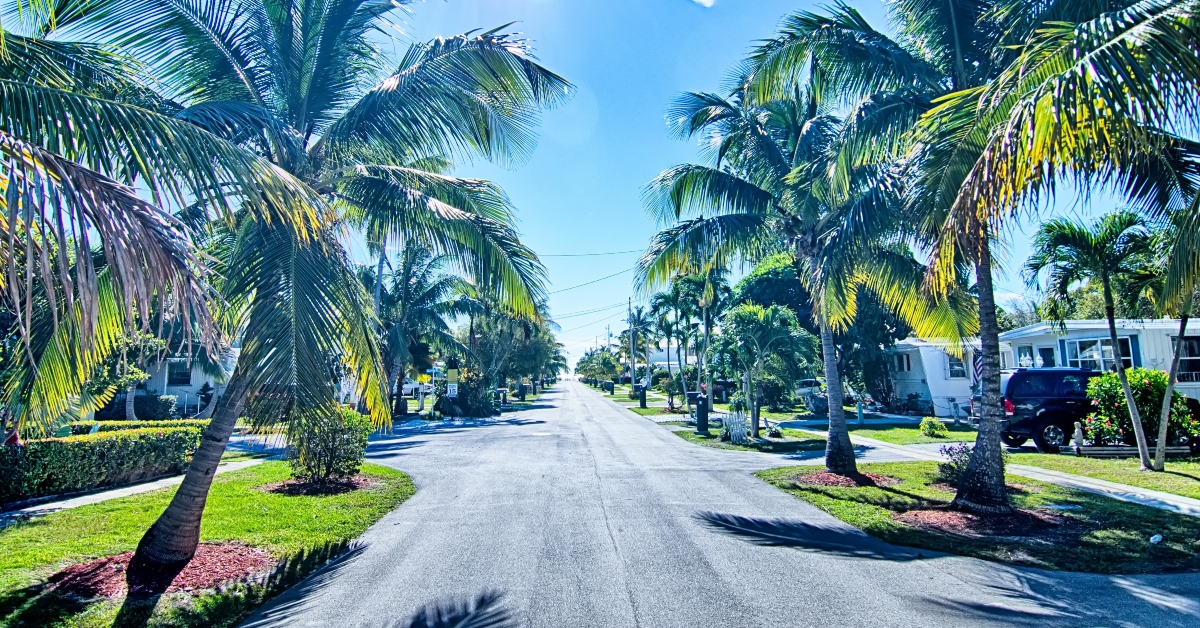 way to the beach with palm trees