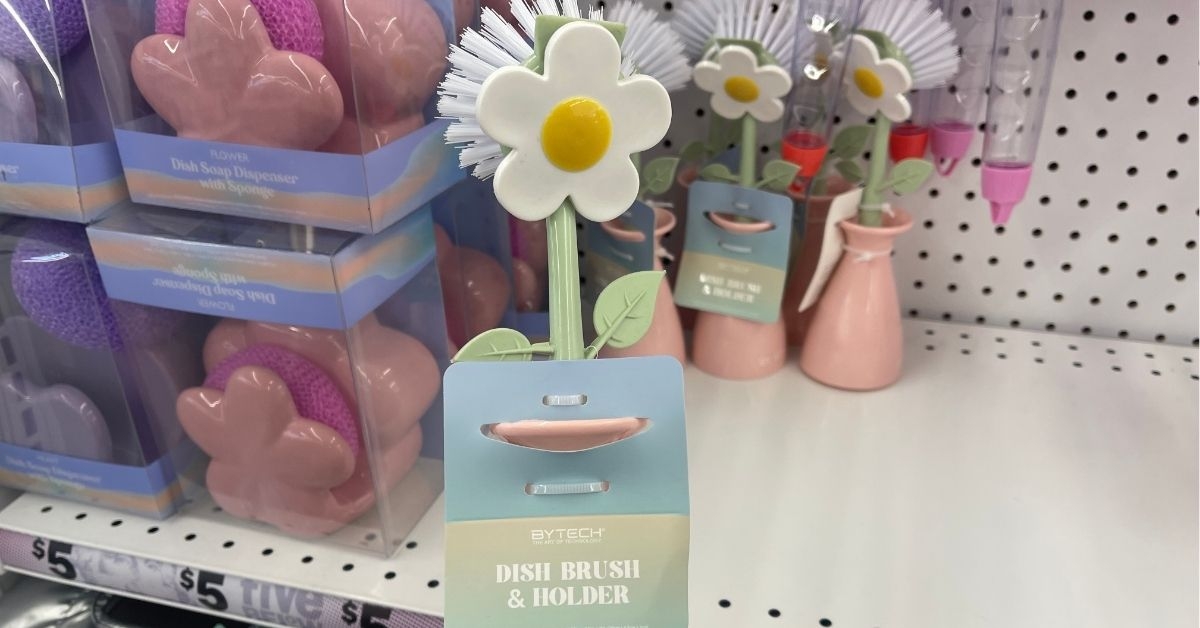 tech dish brush and holder
