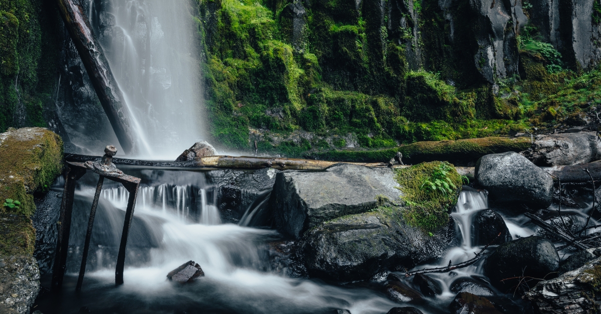 waterfall in the forest