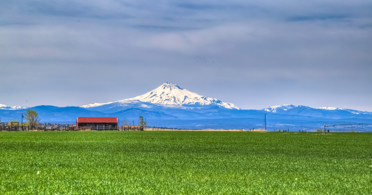 view of Jefferson from Madras Oregon