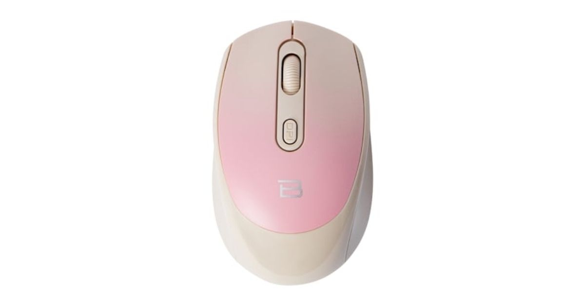 Computer Mouse 
