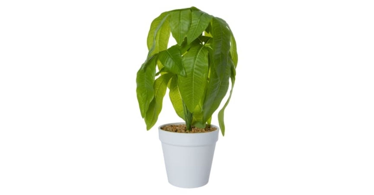 Faux Plant 