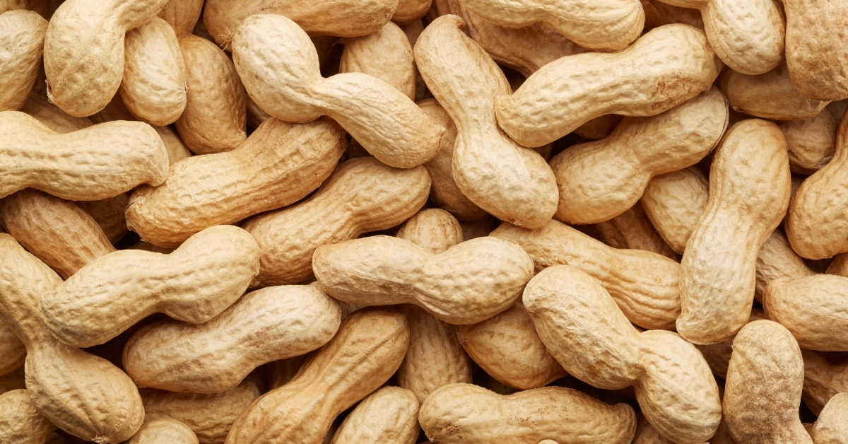 peanuts in shell texture