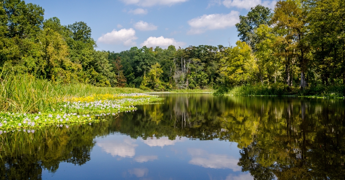 bartholomew reflections