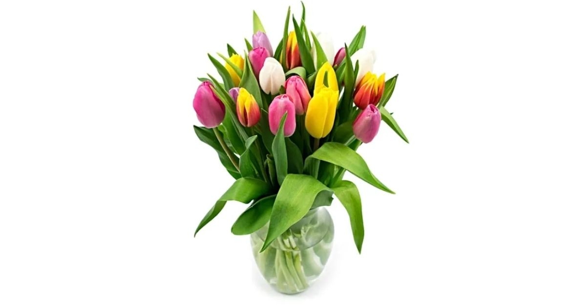 Member's Mark Tulip Vase Arrangement