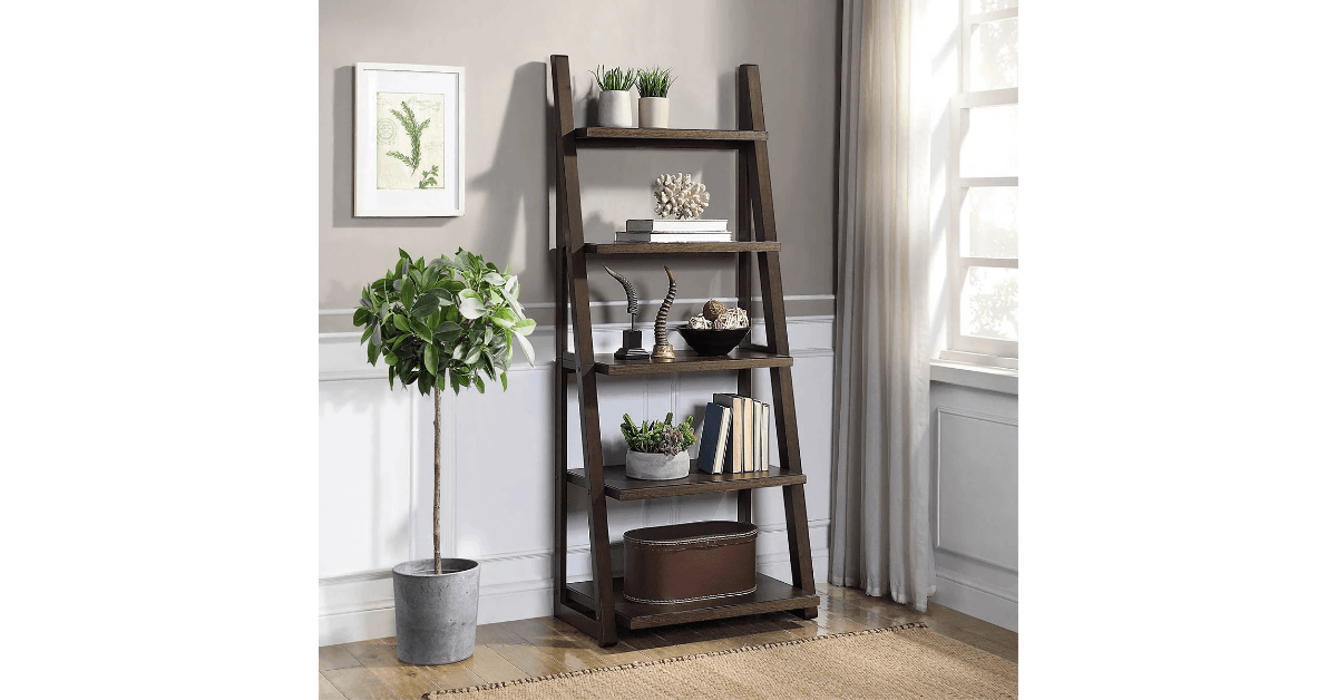 Langston Ladder Bookcase