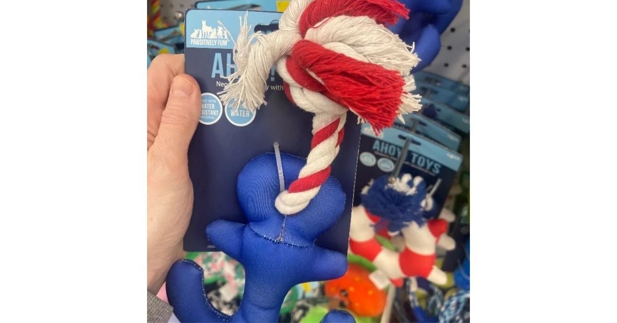 dog toy